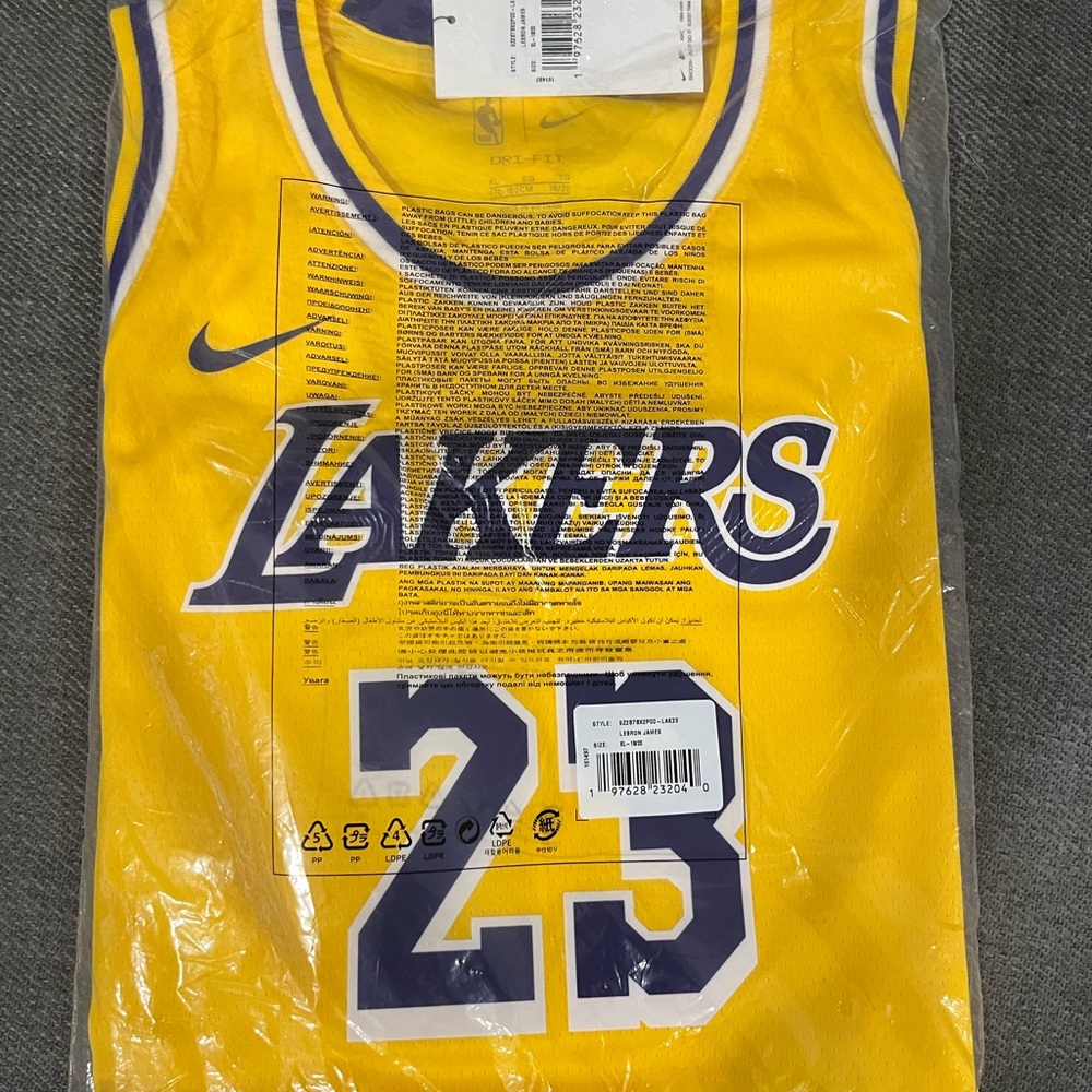 Lebron James lakers jersey